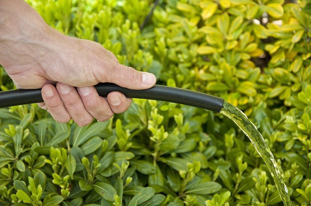 50'-Foot Gardener's Poly Tubing (1/2"-inch) .600 ID x .700 OD - Irrigation, Hydroponics, Growing - Water Distribution Tube