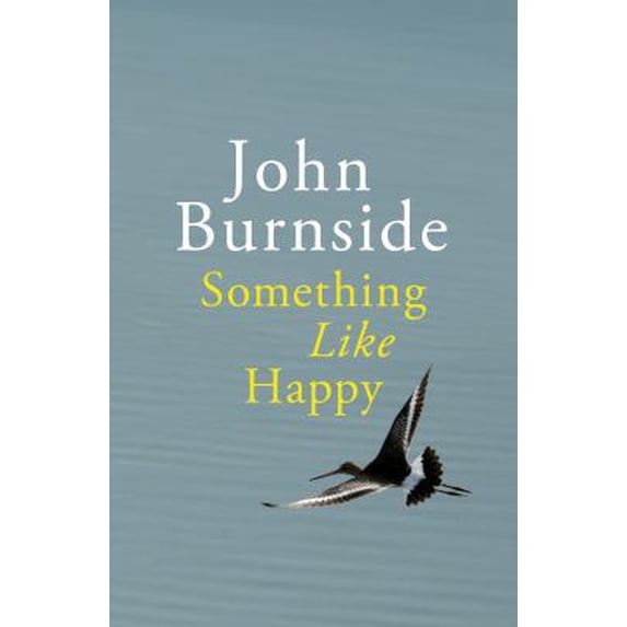 Pre-Owned Something Like Happy. by John Burnside (Hardcover) 0224097032 9780224097031