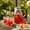 Clear-C, variant on 2L Glass Water Pitcher with Filter, Large Capacity Cold Water Carafe, Borosilicate Glass Jug with Stainless Steel Lid, for Home Office Party