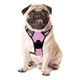 thumbnail image 2 of Arnes Para Perros De Raza Chica. Pechera Talla Chica, 2 of 8