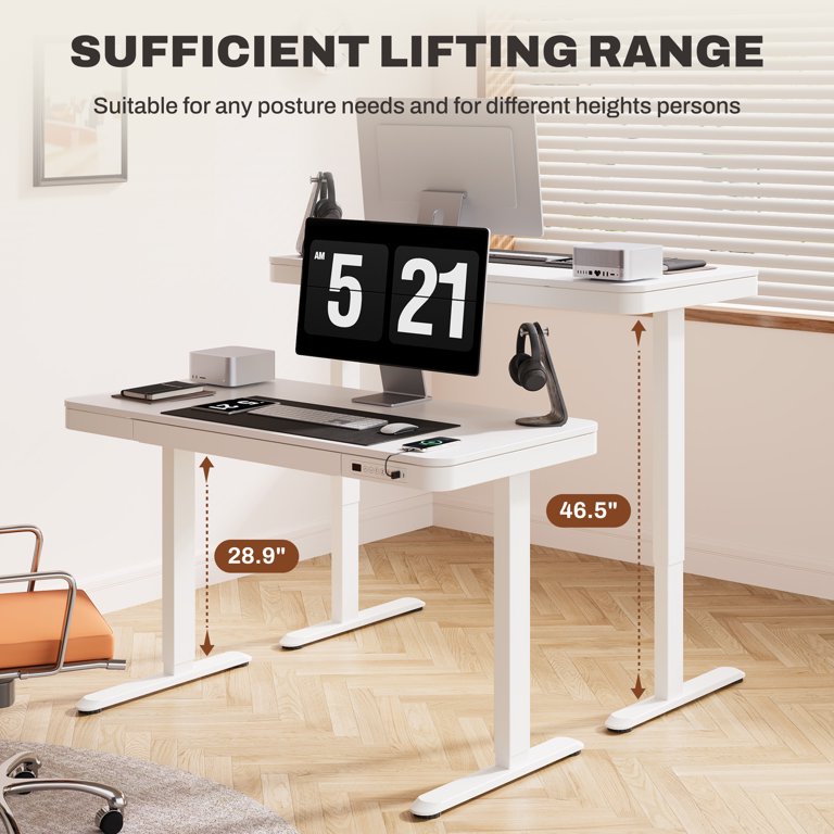 YDN 48x24 Inch Electric Standing Desk With Drawers