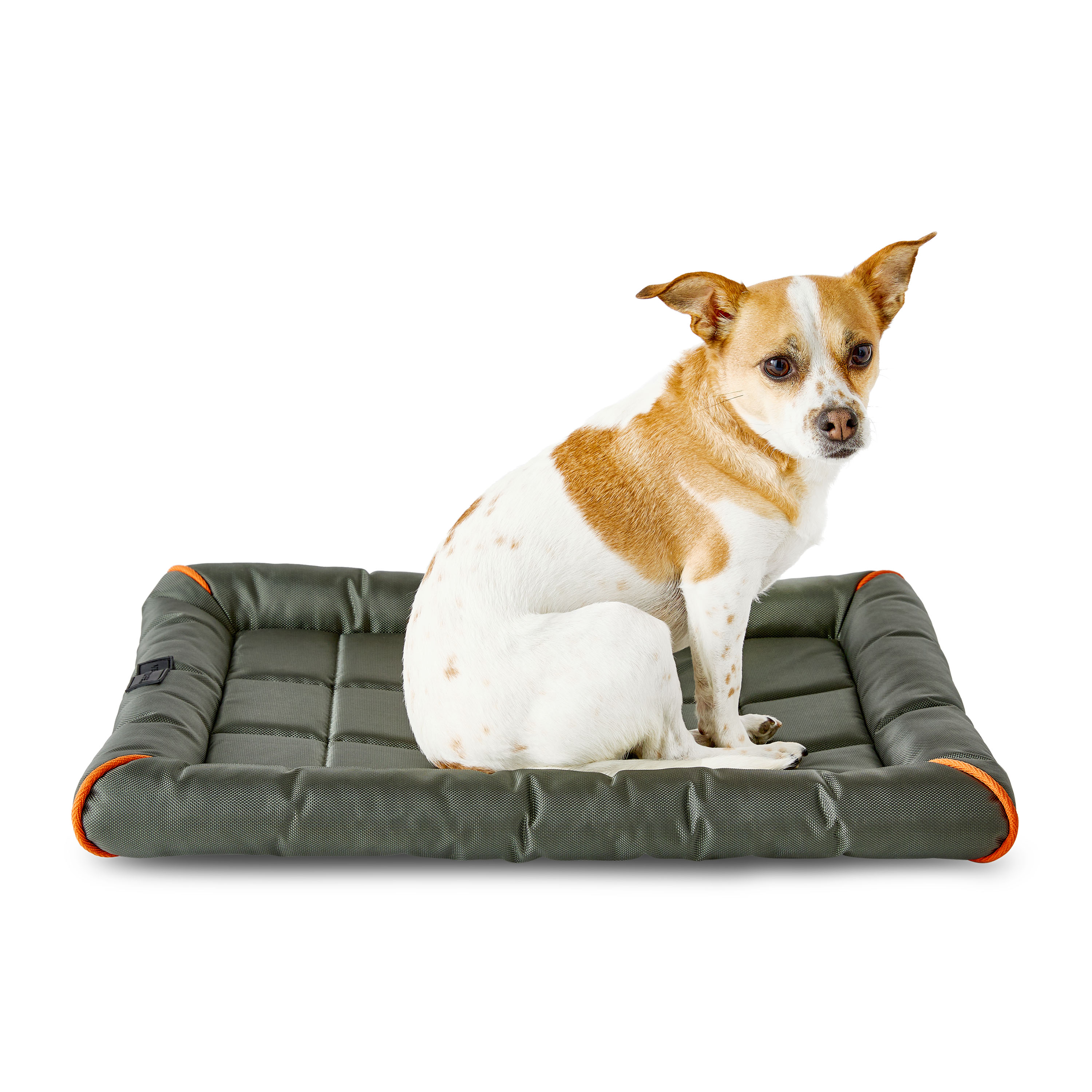 Vibrant Life Durable and Water Resistant Crate Pad, Green, Small, 17" x 23"