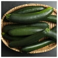 thumbnail image 2 of Everwilde Farms - 1 oz Organic Black Zucchini Summer Squash Seeds - Gold Vault Bulk Seed Packet, 2 of 3