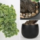thumbnail image 3 of Árbol Bonsái Artificial Briful 25 cm Planta Falsa Verde, 3 of 6