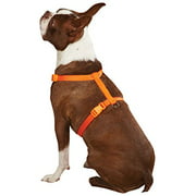 Angle View: Zack & Zoey 1 Nylon Dog Harness with Nickel-Plated D-ring and Plastic Buckles, Orange