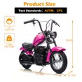 thumbnail image 5 of NEECHIPRO 24V Ride on Electric Dirt Bike for kids, 250W Motorcycle with Key Start,14 MPH, For Age 13+,Pink, 5 of 7