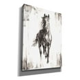 thumbnail image 2 of Epic Graffiti 'Rustic Black Stallion I' by Ethan Harper Canvas Wall Art, 40"x54", 2 of 3