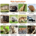 thumbnail image 4 of 24" Humane Live Animal Trap Cage Heavy Duty Live Raccoon Trap Outdoor for Stray Cats Squirrel Skunk Groundhog and More Catch and Release(2 Pack), 4 of 9