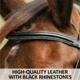 thumbnail image 3 of Schneiders Black Crystal Trim Dressage Horse Bridle | Color Black | Full Size, 3 of 5