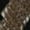 style-17, variant on 2025 Snakeskin Python Dress Summer Classic Faux Animal Print Korean Fashion Casual Long Dresses Vintage Maxi Dress Big Size 4XL