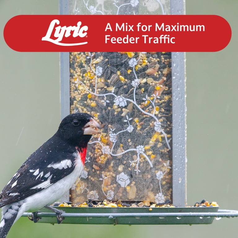 Lyric Supreme Wild Bird Seed Mix, 20 Lb Bag photo 8