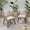 Brown and Beige, variant on Noble House Tatiana Outdoor Wicker Club Chair in Gray and Dark Gray (Set of 2)