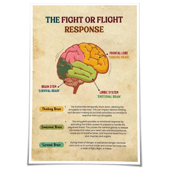 Brain Anatomy Wall Art Trauma Therapy The Fight or Flight Response Mental Health Poster Pictures for Bedroom Canvas Decoration Painting Hanging Wall Decor