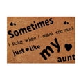 thumbnail image 1 of 16x24 Inch Doormats Non Slip Indoor Door Mats for Entryway Summer Rugs for Front Door Personalized Welcome Door Matt Outdoor Entrance Home Outdoor Indoor Welcome Mat for Home Entrance, 1 of 8