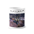 thumbnail image 1 of Ocean Fish coral Science Nature Picture Taza de cepillo de dientes, 1 of 3