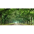 thumbnail image 2 of McLoughlin, James 18x11 Gold Ornate Wood Framed with Double Matting Museum Art Print Titled - Canopy Road Panorama VI, 2 of 4