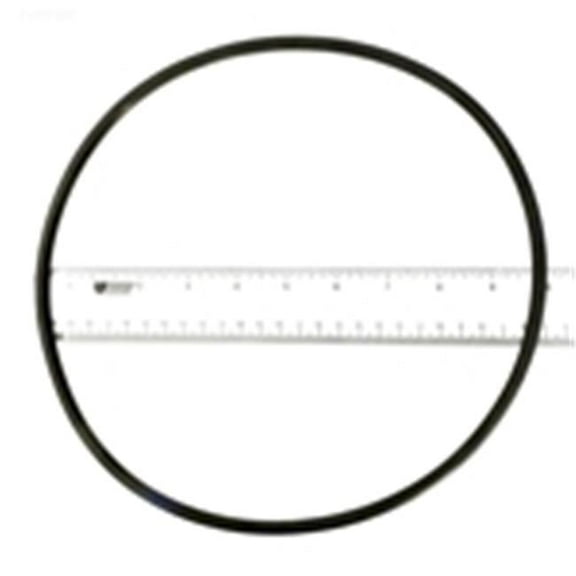 Waterway WW8050448B Pool Lid O-Ring