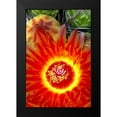 thumbnail image 2 of Taylor, Douglas 13x18 Black Modern Framed Museum Art Print Titled - Cactus Flower VI, 2 of 5