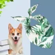 thumbnail image 5 of Bandana Para Perro, Bufanda Para Mascota, Accesorio De, 5 of 8