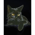 thumbnail image 2 of Diamond Dotz® Intermediate Black Cat & Rose Twins Diamond Painting Kit, 2 of 5