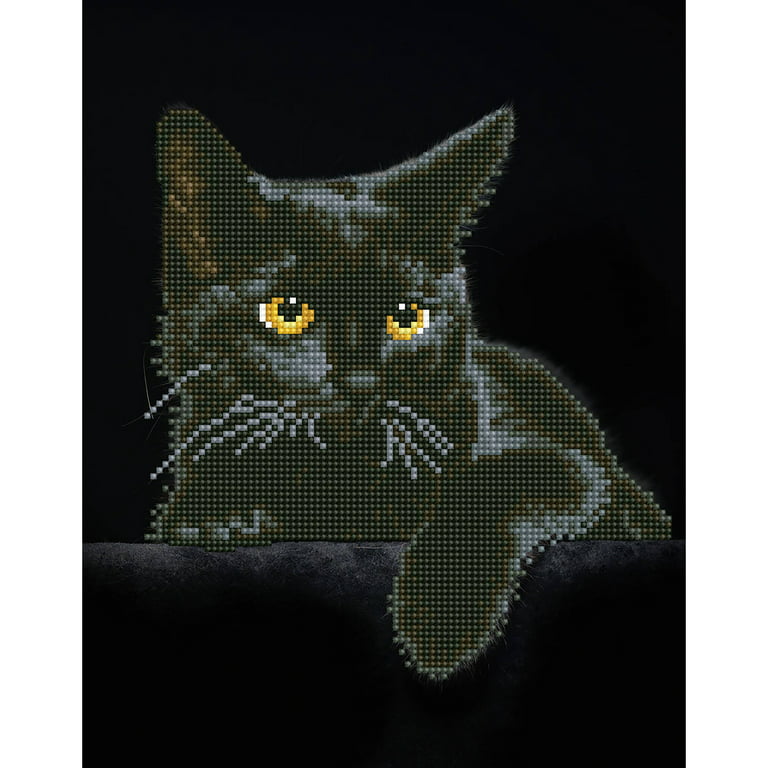 Diamond Art Kit 12x12 Intermediate Stain Gl Cat, 1 - Harris Teeter