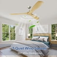 thumbnail image 7 of DingLiLighting 60" Ceiling Fan without Light, 3-Blade Wood Ceiling Fan with Remote Control, Indoor Outdoor Ceiling Fan for Living Room,Bedroom, porch, patio, 7 of 7