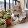 thumbnail image 6 of Yhmxh Cat Bow Collar, Breakaway Kitten Collar with Cute Bow Tie Girl Cat Collars Cats Princess Costumes Pink Outfit for Kitty and Small Dogs Puppies Birthday Party, 6 of 7