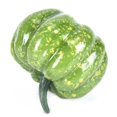 thumbnail image 3 of POINTERTECK Realistic Lifelike Artificial Pumpkins Fake Display Food Decor Home Party Decor, 3 of 5