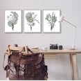 thumbnail image 2 of Stupell Industries Boho Flower Herb Bunches Graphic Art Gray Framed Art Print Wall Art, Set of 3, Design by JJ Design House LLC, 2 of 8