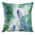 thumbnail image 1 of RYLABLUE Motif Coloré Oiseau Aquarelle avec Paon Vert Raster Jeter Taie d'Oreiller Housse de Coussin, 1 of 1