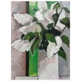 thumbnail image 1 of Paul Donaghy White Lilac Canvas Print, 1 of 2