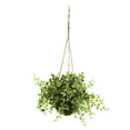 thumbnail image 2 of Nearly Natural Artificial Eucalyptus, Maiden Hair & Berry Plant 3-Pc Hanging Basket Set, Green, 2 of 3