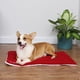 thumbnail image 1 of Estera para mascotas con tema navideño, estera para sofá con jaula para perrera y gato con tema navideño, estera para cama para perros y gatos, rendimiento de primer nivel, 1 of 9