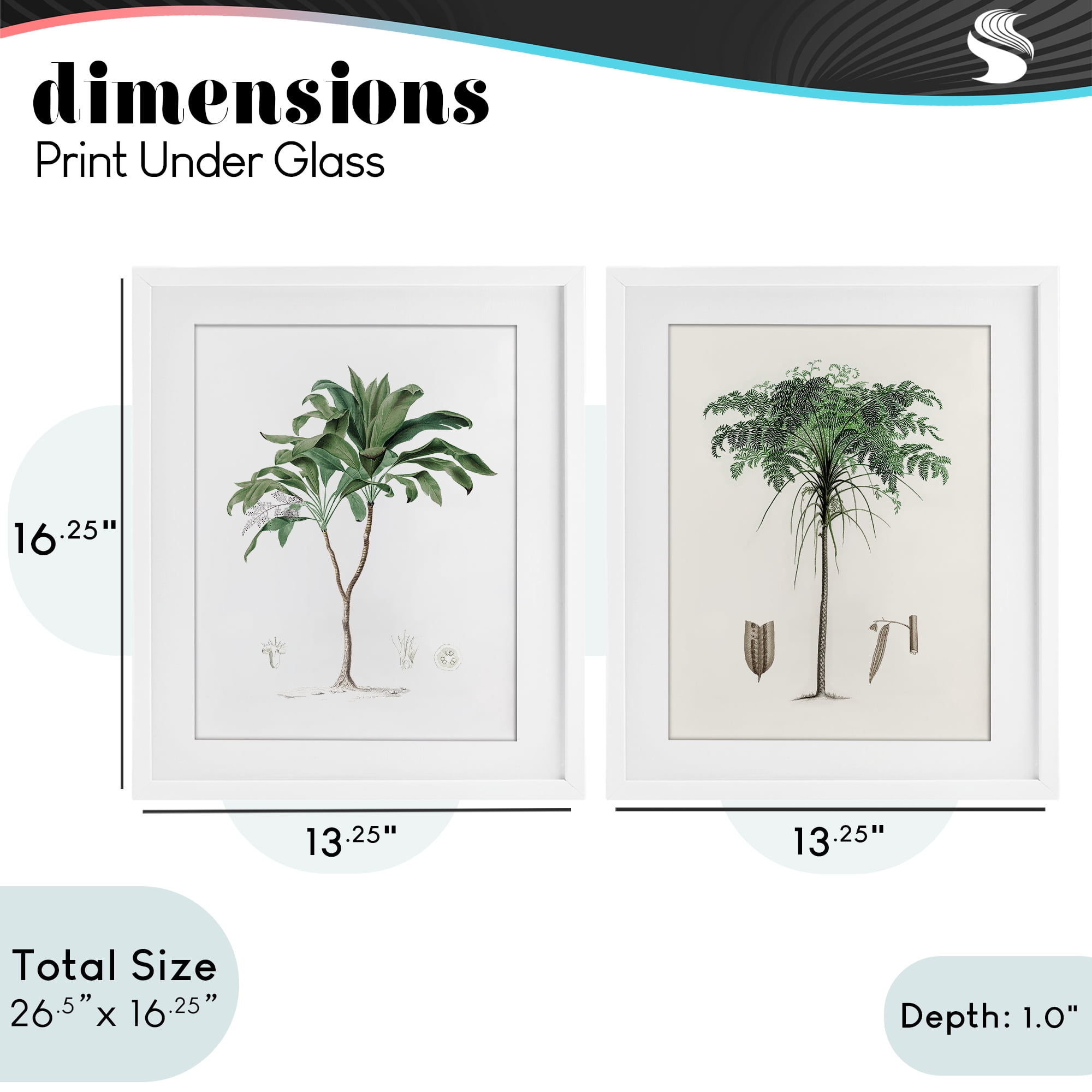 Stupell Industries Two Types of Palms 2 Piece White Framed Print Under Glass Set, design by Val Rhodes