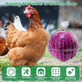 thumbnail image 4 of Chicken Vegetable Hanging Feeder Stainless Steel Poultry Feeder Ball Metal Detachable Feeding Ball with Chain Reusable Hanging Chicken Feeding Basket for Chicken Hens Duck Rabbit, 4 of 11