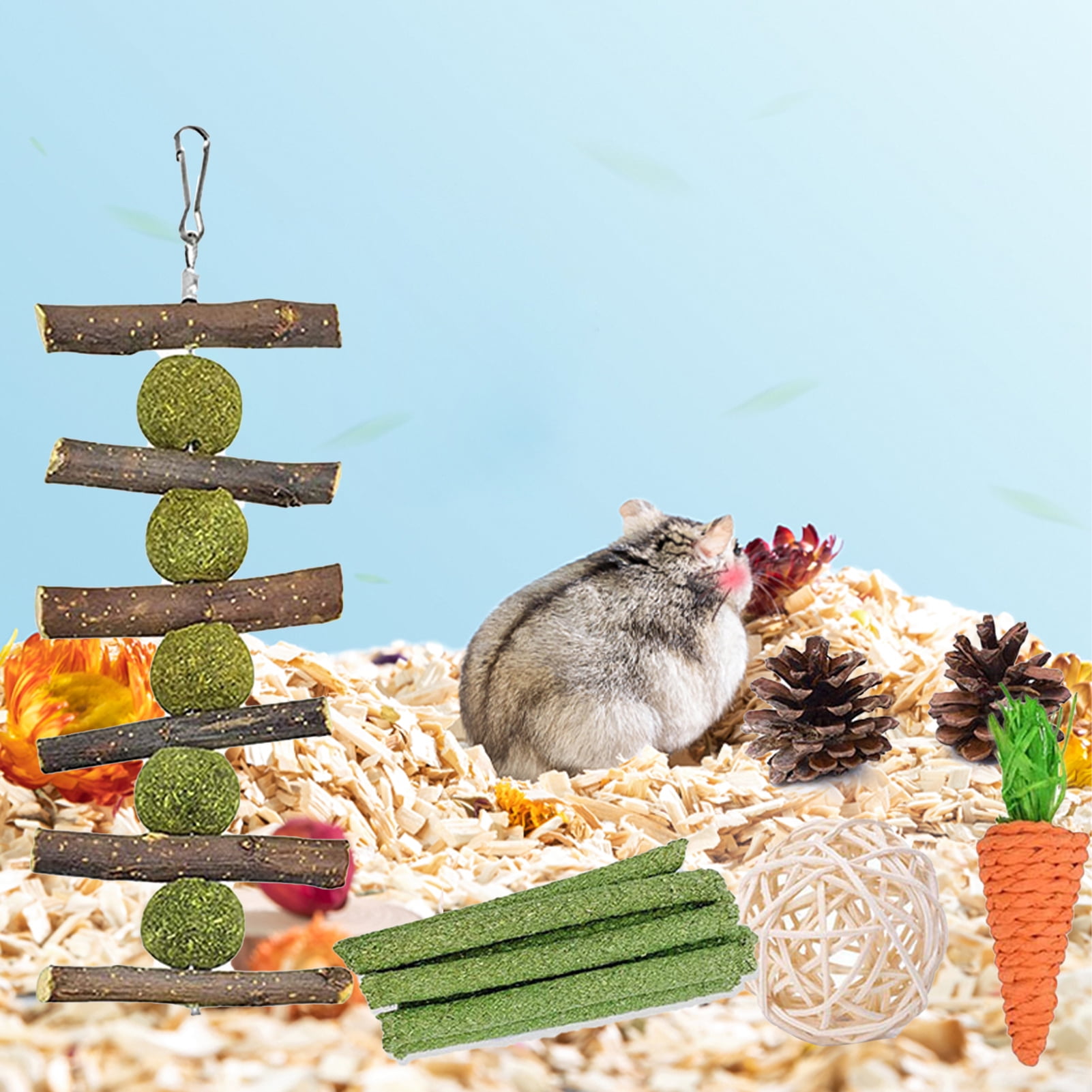 DOPI 6Pcs Bunny Toys Carrot Pine Cones Balls Natural Wood Molar Toys Hamster Play Chew Toys Pet Toys
