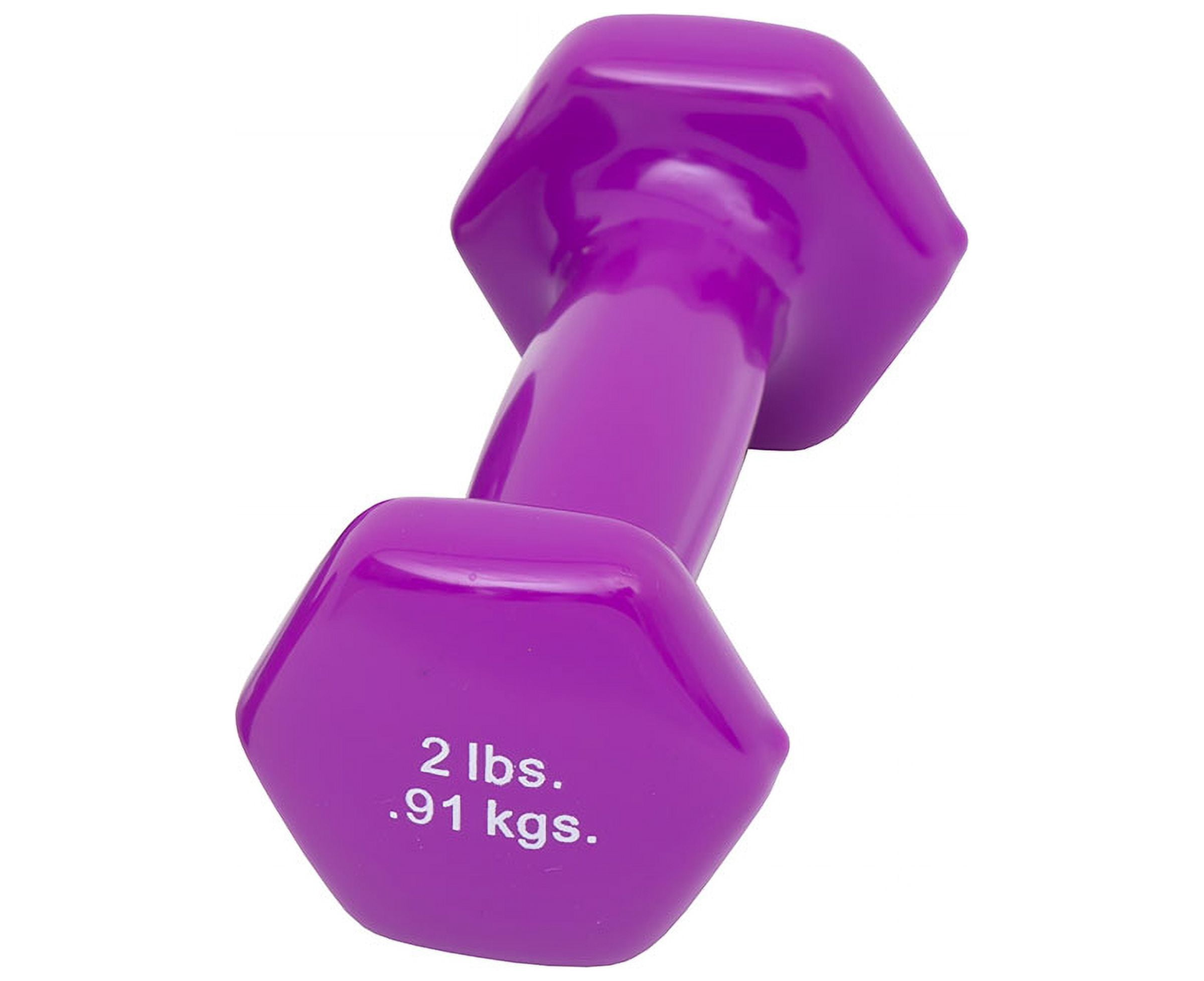 Fabrication Enterprises Vinyl-coated Iron Dumbbell, Violet, 2 lb