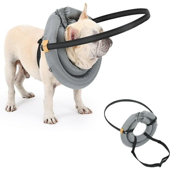 Blind Dog Halo Guiding Device