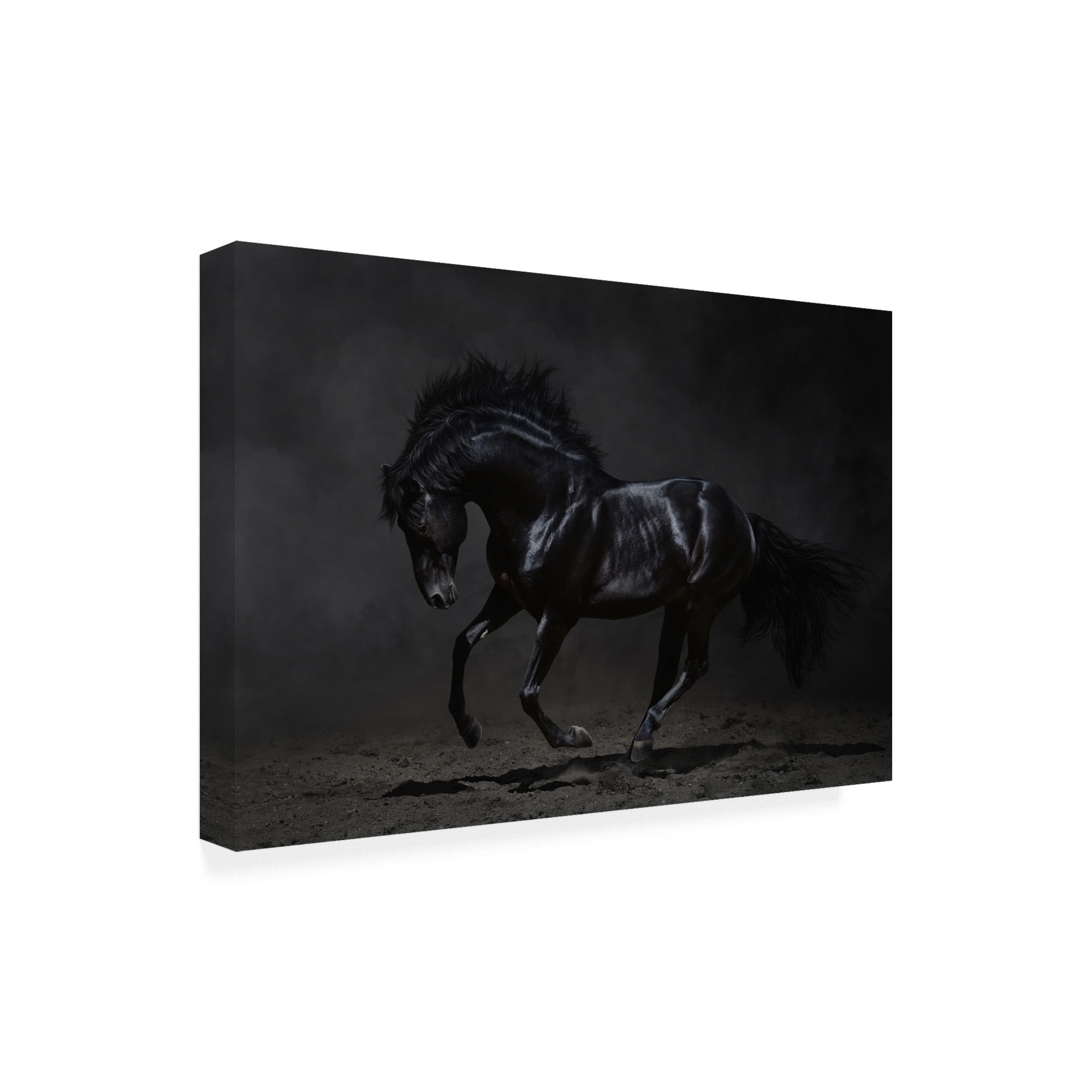 Trademark Fine Art 'Onyx Horse' Canvas Art by PhotoINC Studio