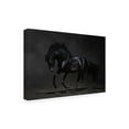 thumbnail image 2 of Trademark Fine Art 'Onyx Horse' Canvas Art by PhotoINC Studio, 2 of 3