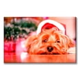 thumbnail image 1 of Cuadro Canva Pixtreats listo para Colgar tipo galería Perrito Navideño 40X60 cm, 1 of 4
