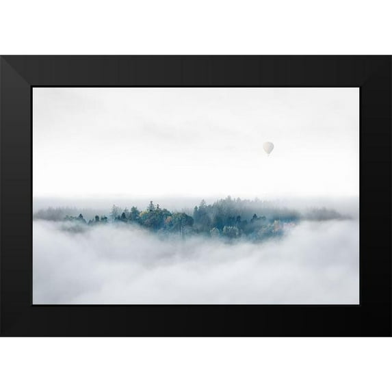 Bergolth, Matthias 18x13 Black Modern Framed Museum Art Print Titled - Misty Morning Surprise