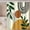 Vintage Orange, variant on Mid-Century Bohemian Shower Curtain - Orange Sun Green Eucalyptus Leaves Arch Design, Waterproof Polyester Fabric, Includes Hooks, 72x72 Inch, Perfect for Contemporary and Artistic Bathrooms