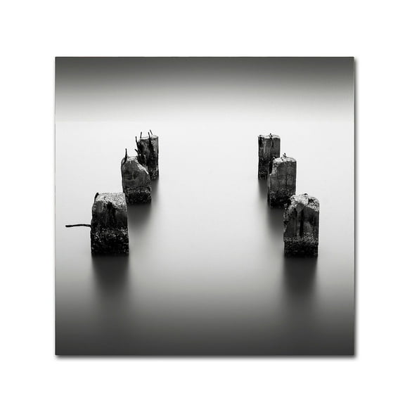Trademark Fine Art Dave MacVicar 'Pillars' 14 x 14 (ALI0845-C1414GG)