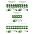 thumbnail image 3 of Injueey Clips de soporte para plantas trepadoras, 10 Uds., Clips de pared autoadhesivos, Clip para plantas trepadoras para plantas de interior Type2 NO2, 3 of 6