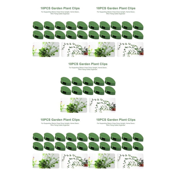 Soporte para plantas trepadoras Toystoory 10 Piezas Autoadhesivo Verde