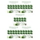thumbnail image 1 of Soporte para plantas trepadoras Toystoory 10 Piezas Autoadhesivo Verde, 1 of 6