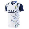 thumbnail image 1 of 2022/2023  Kerry GAA 3 Stripe Home/Goalkeeper/Away Goalkeeper Jersey Customize, 1 of 3