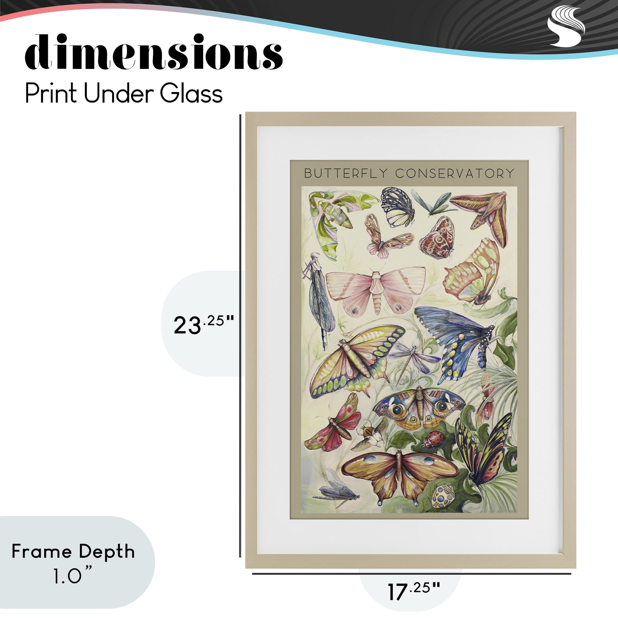 Stupell Industries Butterfly Conservatory Insects Birch Framed Print Under Glass, design by Diannart