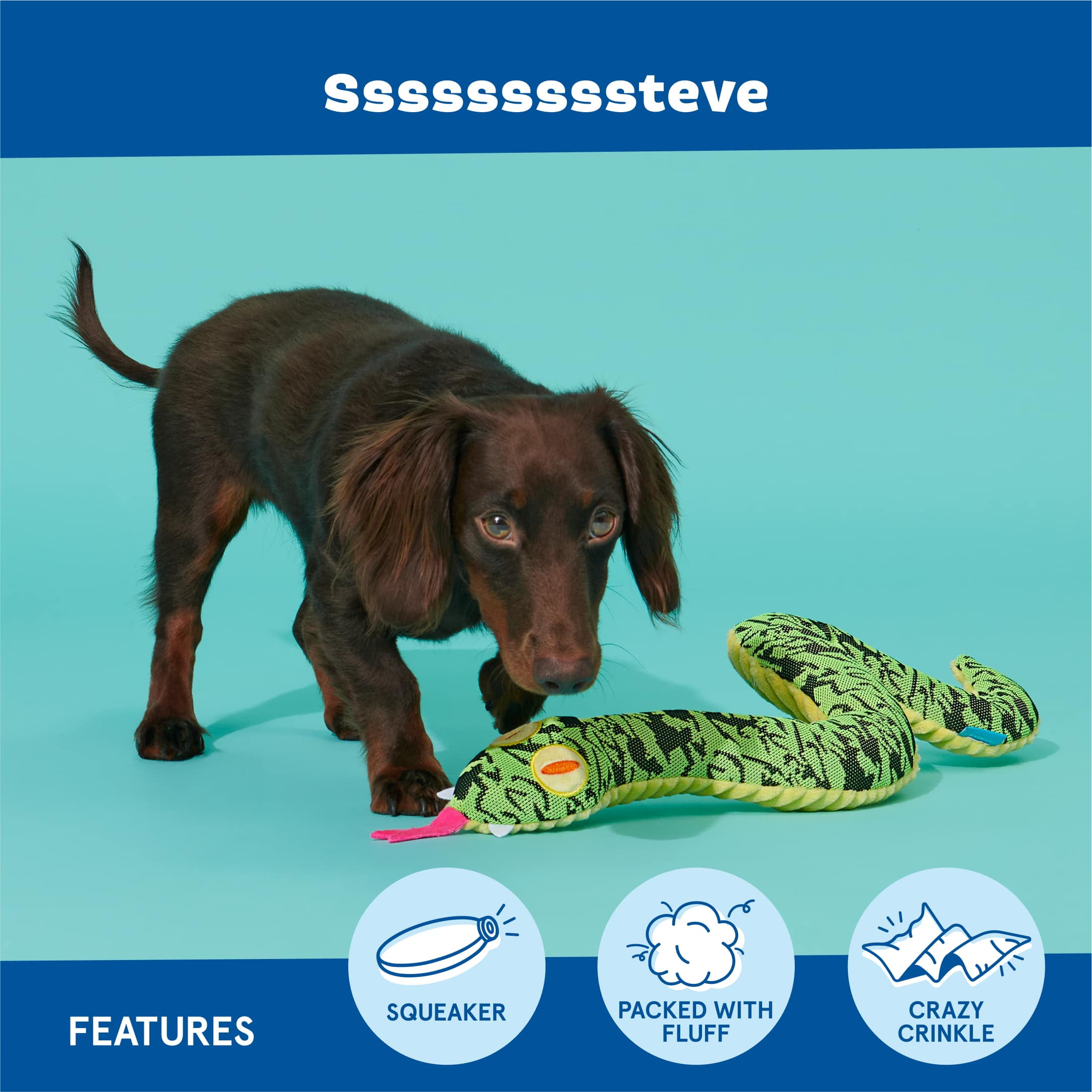 BARK Sssssssssteve Plush Snake Dog Toy